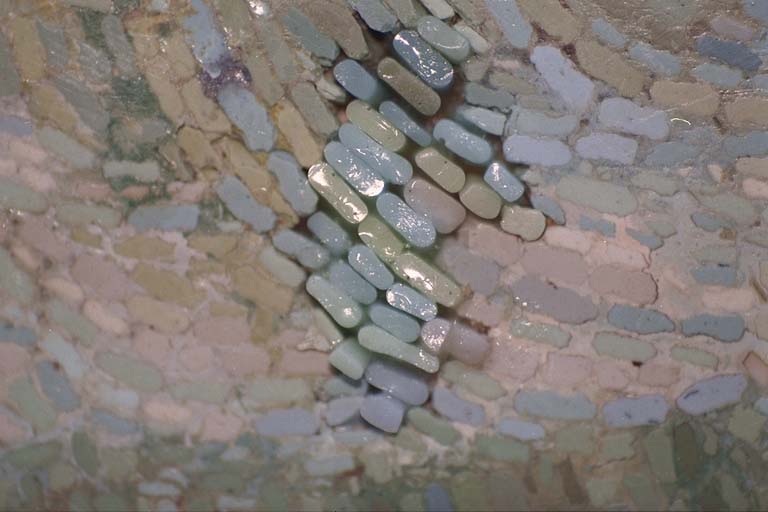 Gilbert Mosaic restored smalti filati, 1999